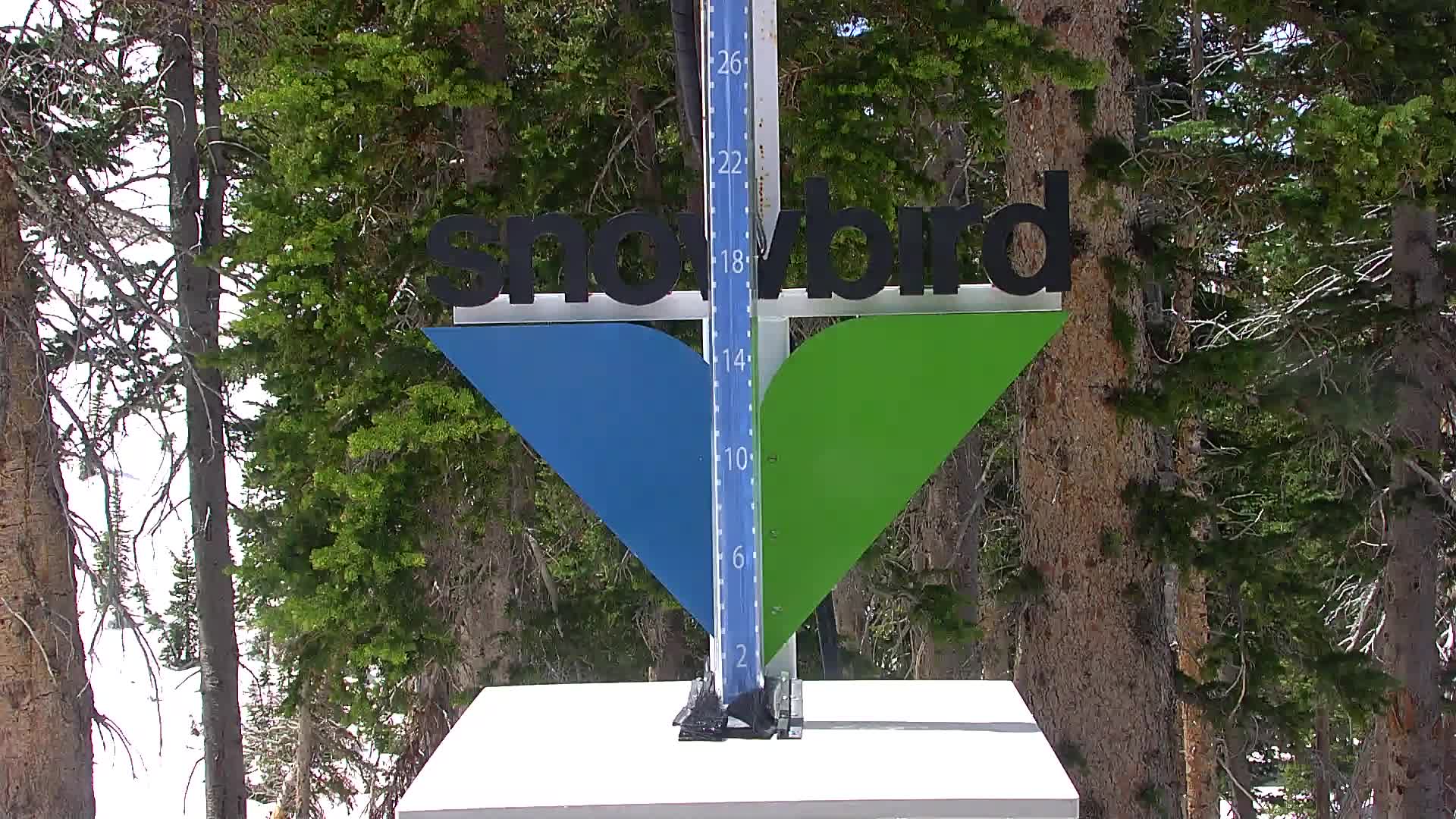 Snow Stake